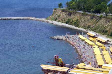 Внешний вид